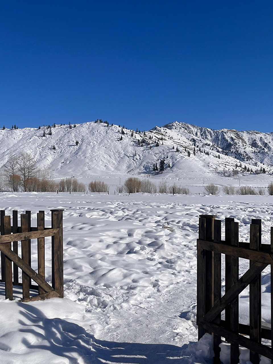 阿勒泰被雪山治愈的冬天
