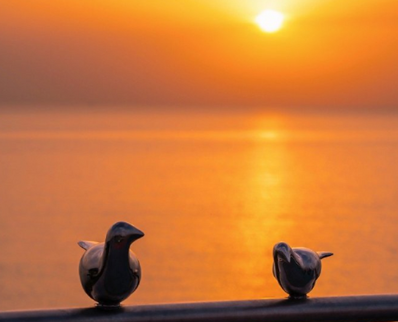 来大连,一定要来泊霞湾看场酣畅淋漓的橘子海日落.