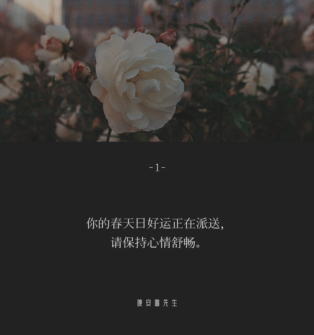 「朋友圈文案」专属于三月发圈的小众文案适合发朋友圈