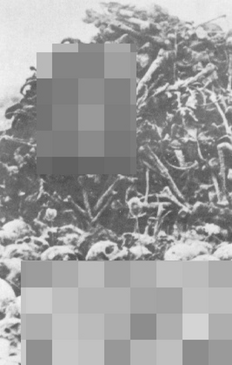 解放马伊达内克集中营:苏联红军在那里,发现了这里发生过大规模屠杀的