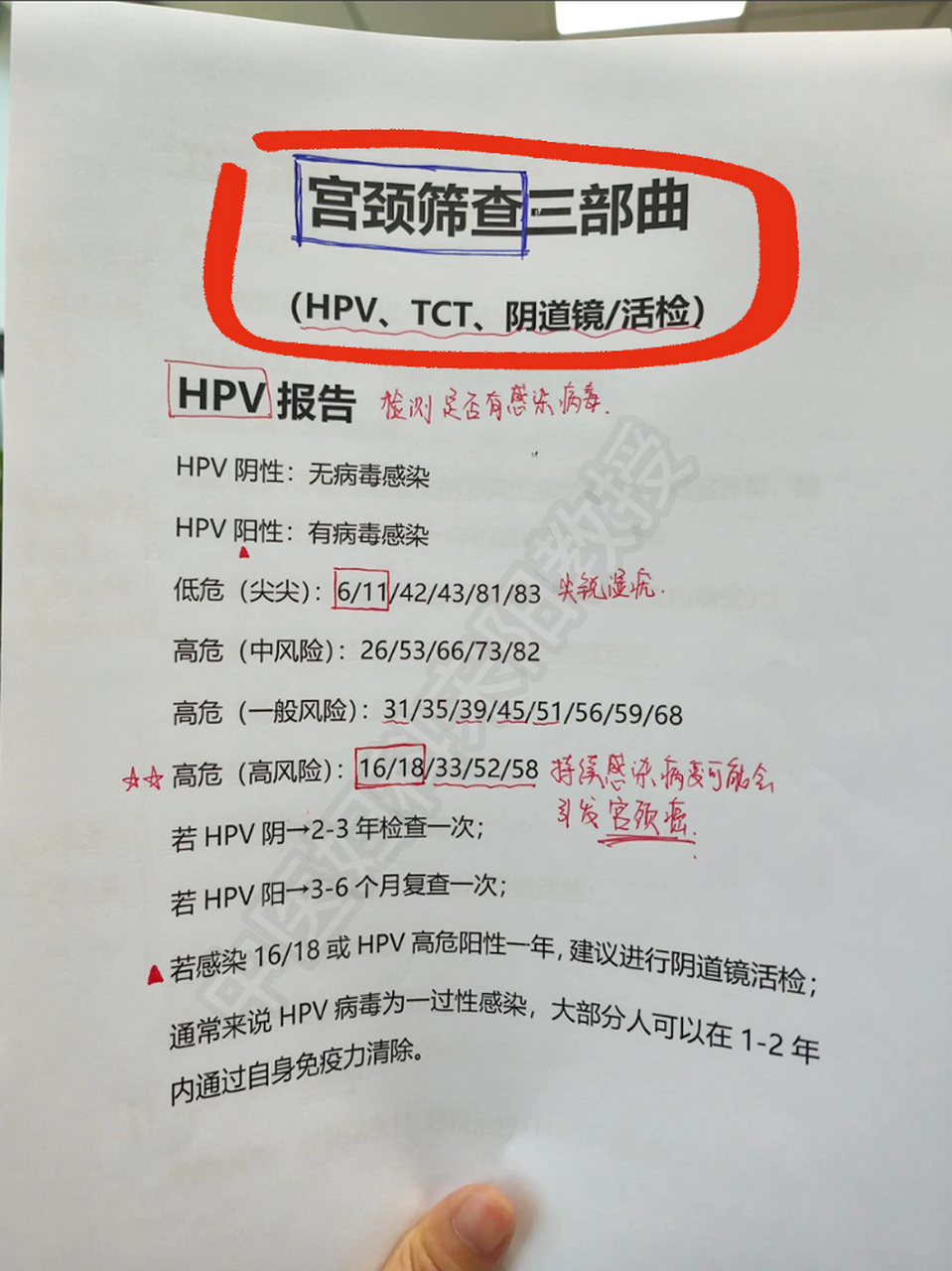 宫颈筛查报告单怎么看?hpv姑娘们要学会自我评估病情!