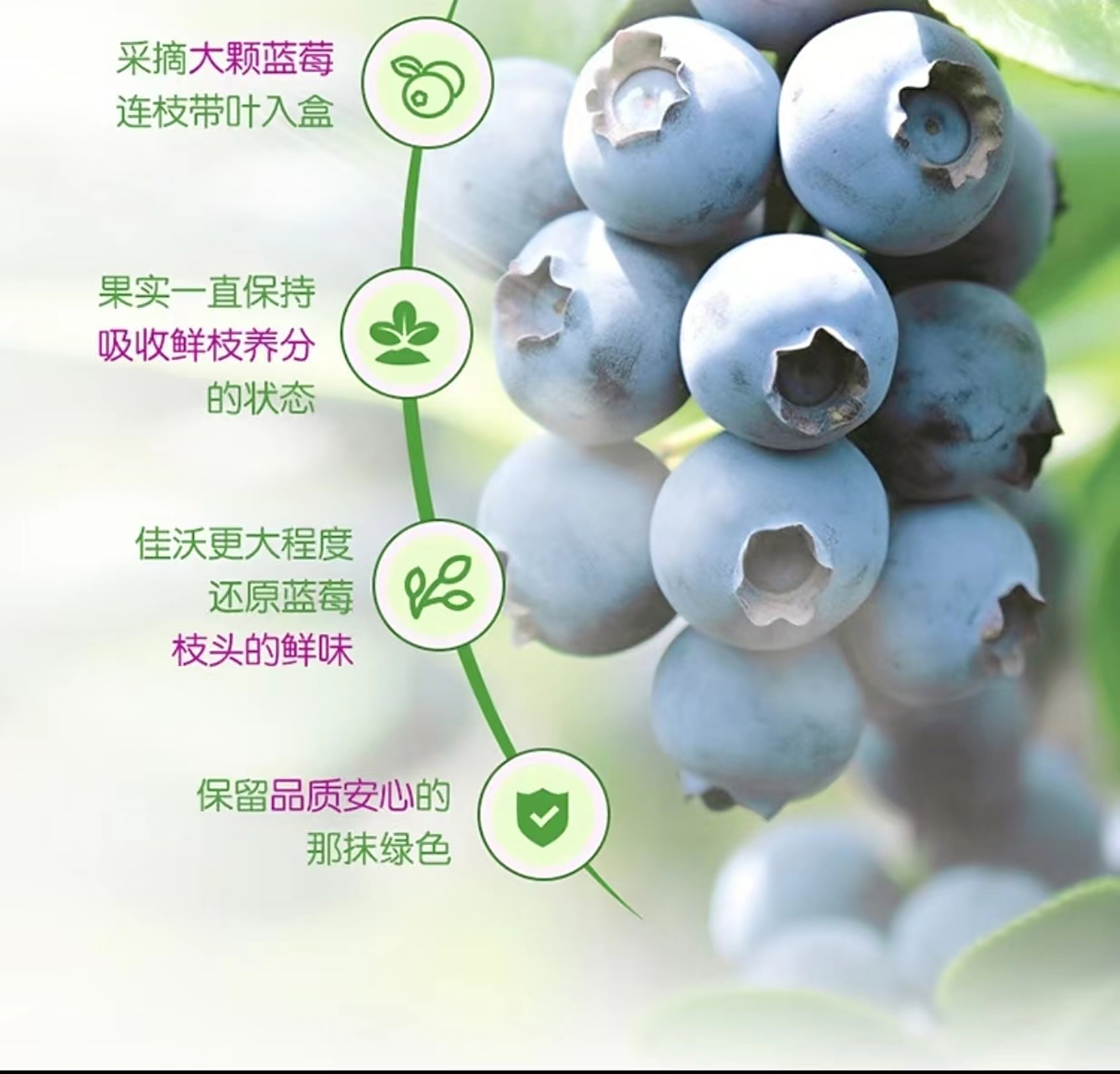 蓝莓# #每天吃一盒蓝莓会发生什么# #花青素#  "真的太喜欢吃蓝莓了!