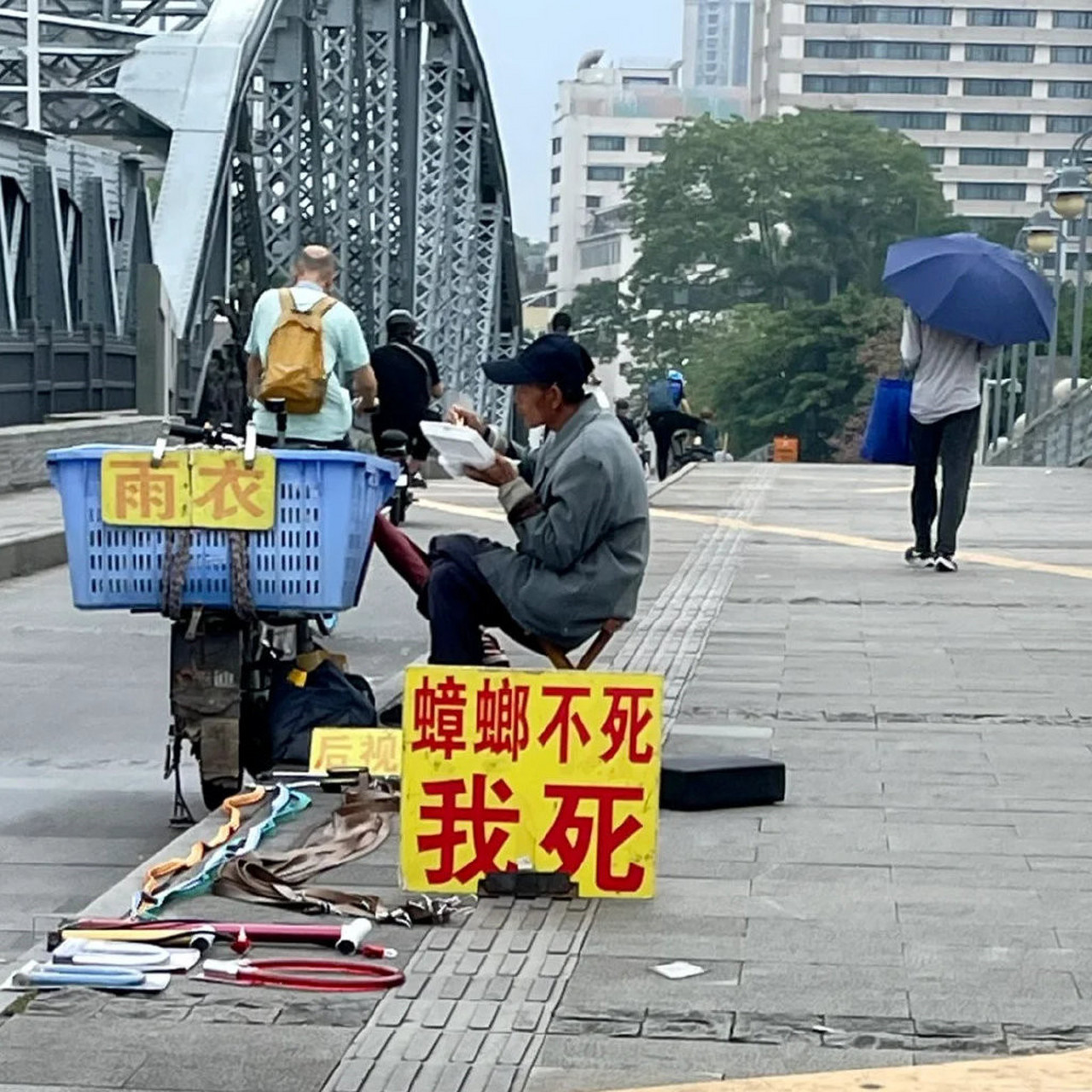 蟑螂药图片大全搞笑图片