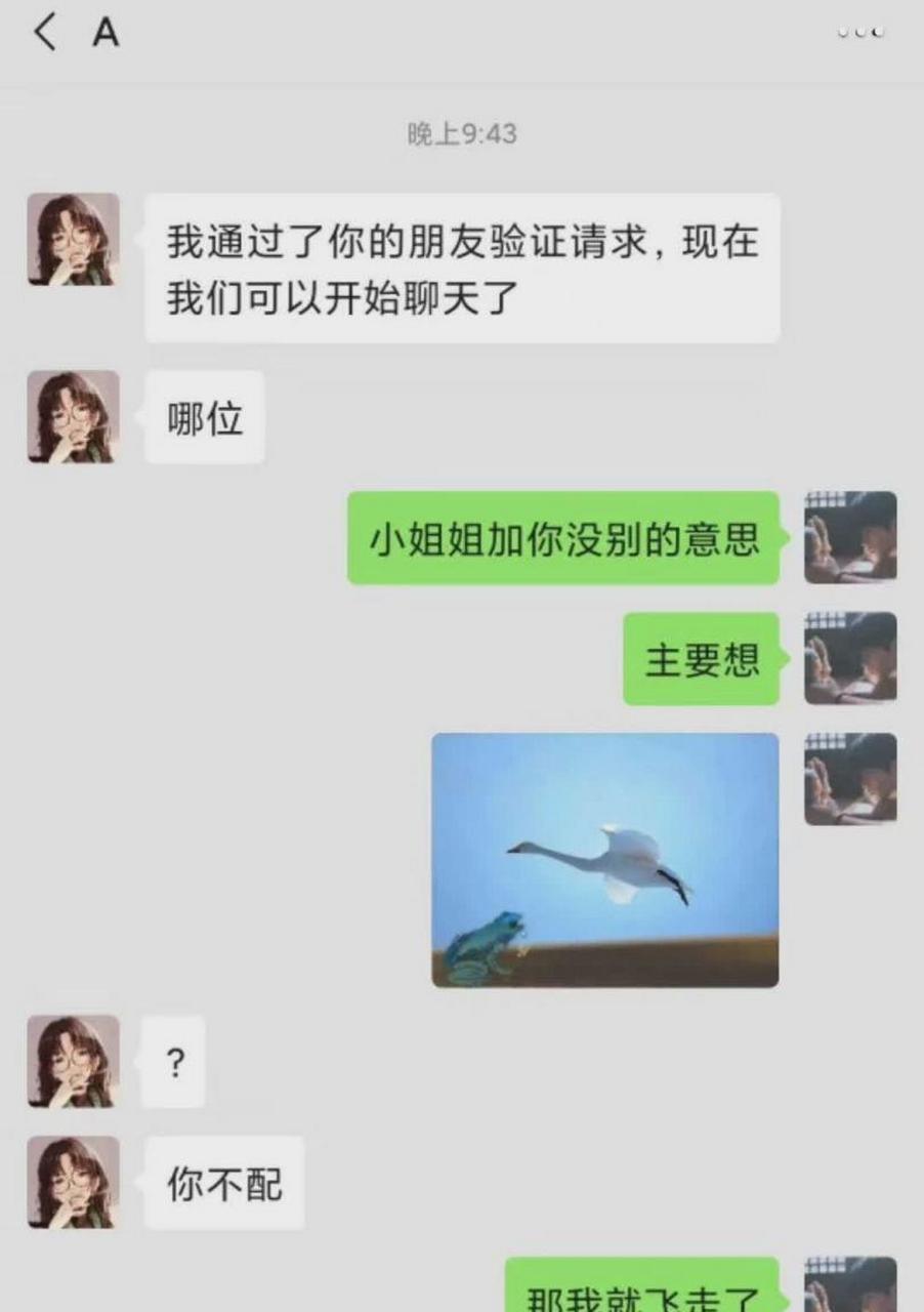 刚加一女的,不知道怎么聊