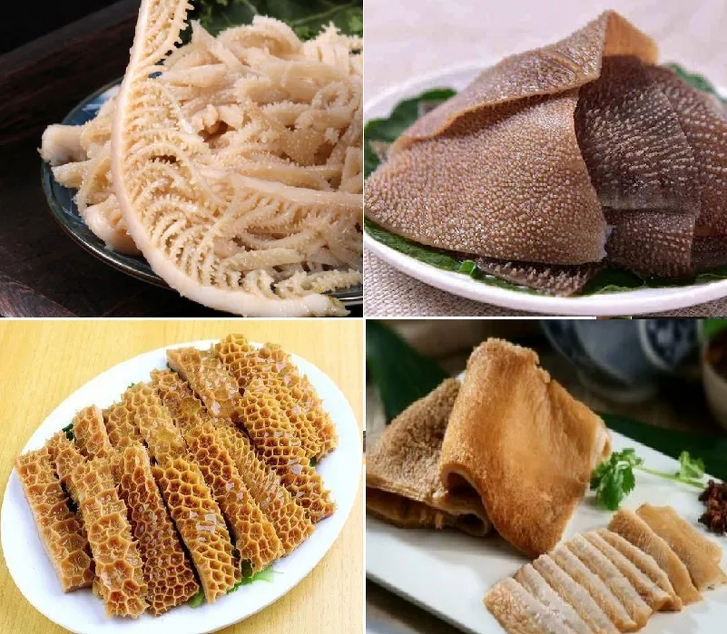 牛的四个胃  牛一共有四个胃,分别是瘤胃,网胃,瓣胃和皱胃,除了皱胃