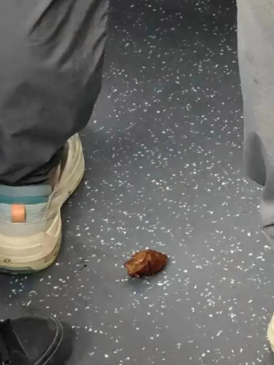 年轻人竟然在地铁上当众拉屎[汗]