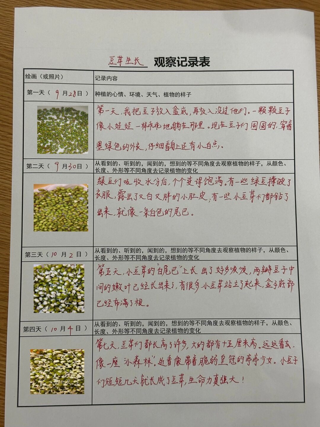植物观察记录图片以及生长过程(植物观察记录图片以及生长过程怎么写)