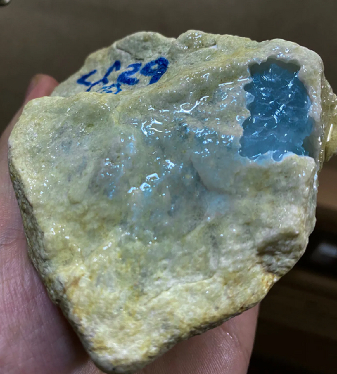 看直播##翡翠原石#木纳,485克,皮壳自然形成包浆,全身自然形成脱沙,脱