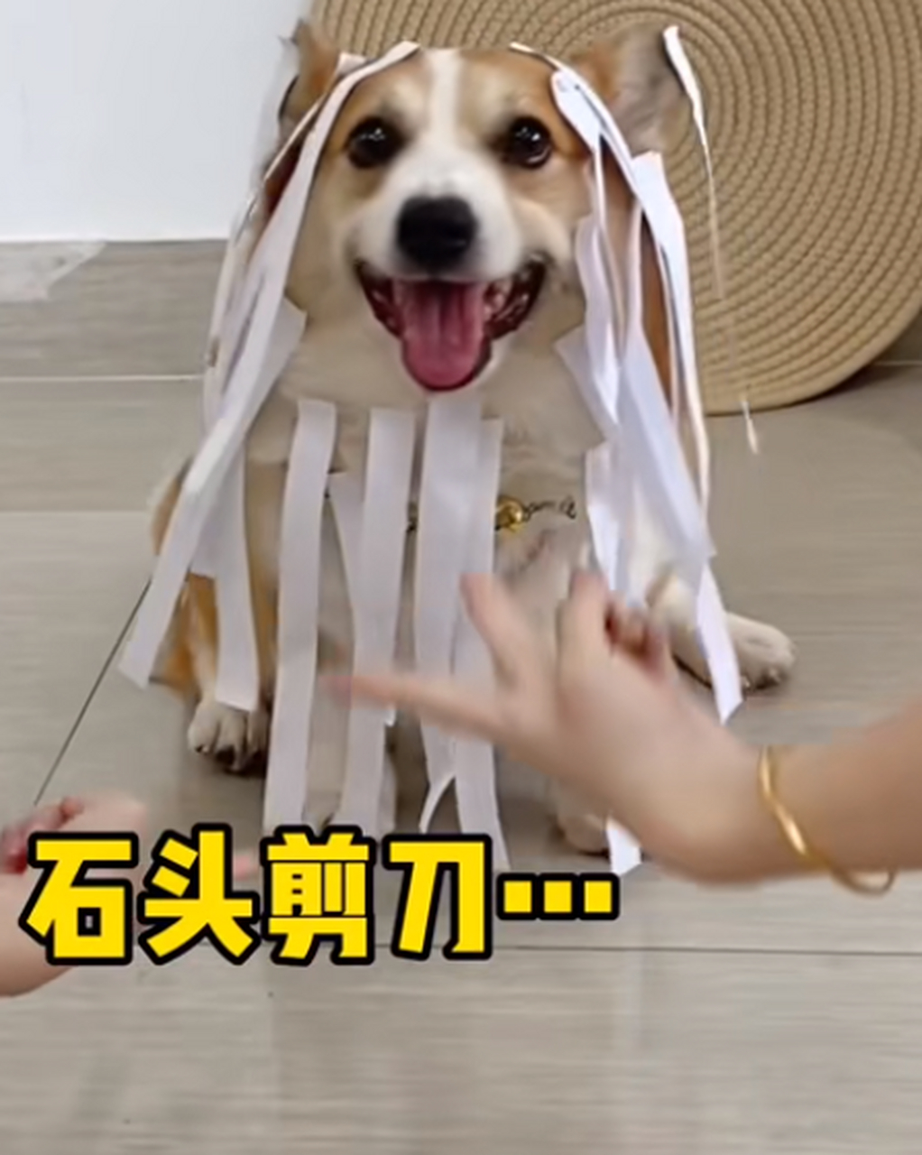 剪刀石头布,愿赌服输