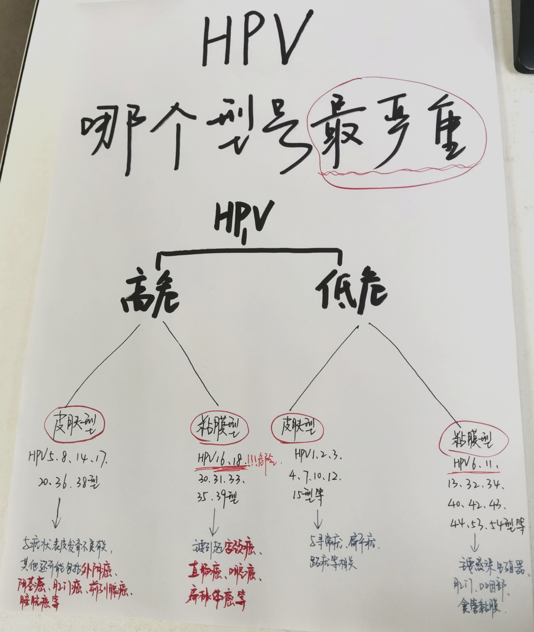 hpv 是人乳头瘤病毒,一般存在于皮肤和黏膜上,目前有近200个亚型