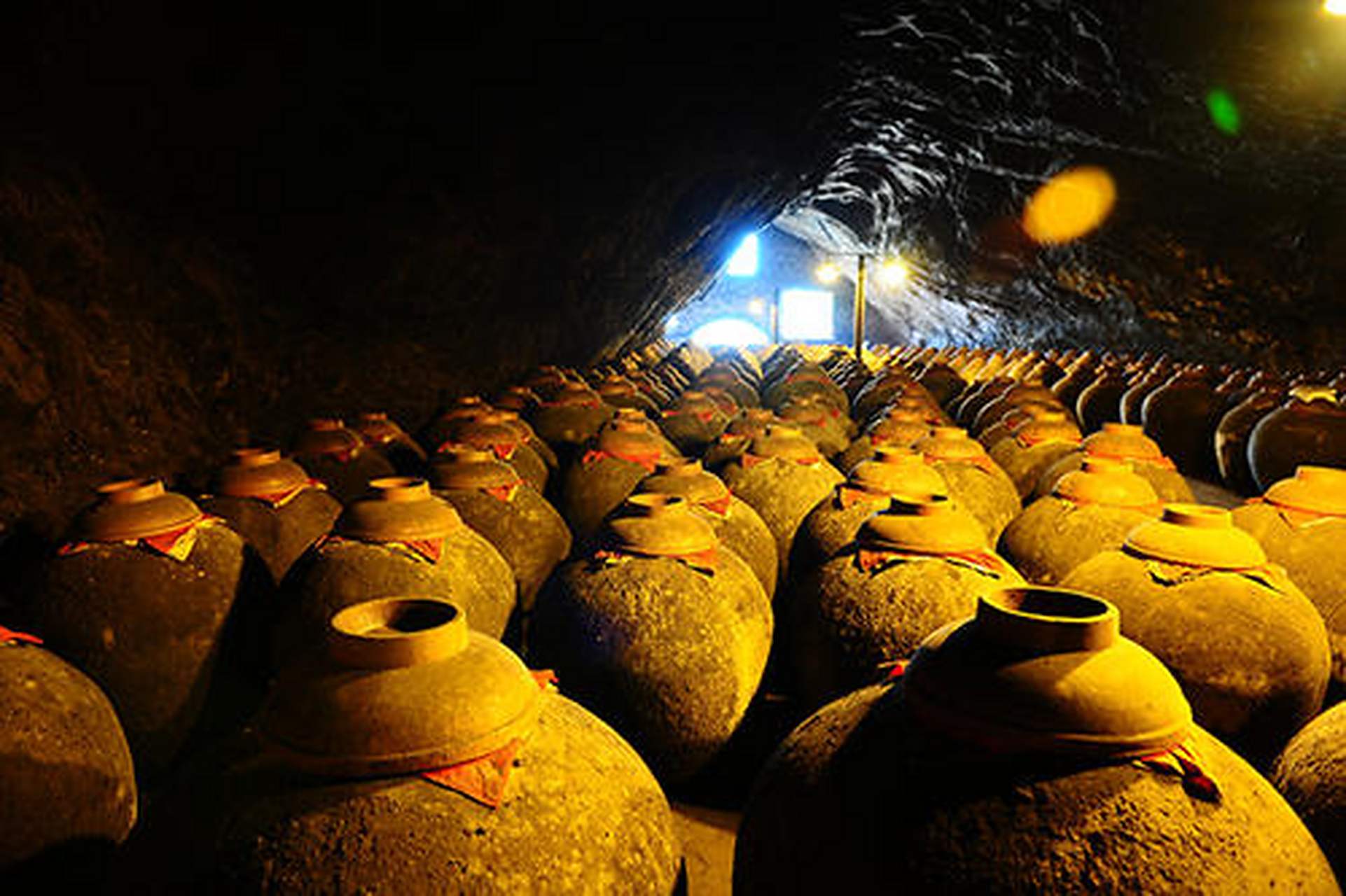 郎酒天宝洞的发现纯属偶然.