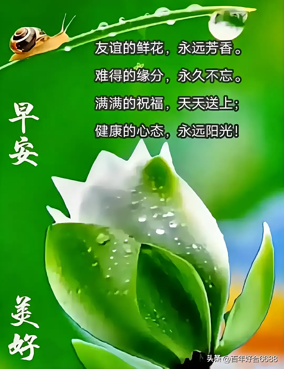 今日早安问候#         昆河晨语:为友谊喝彩!