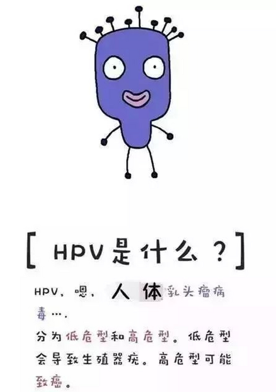 近日,苏州的王女士不小心感染了hpv病毒.