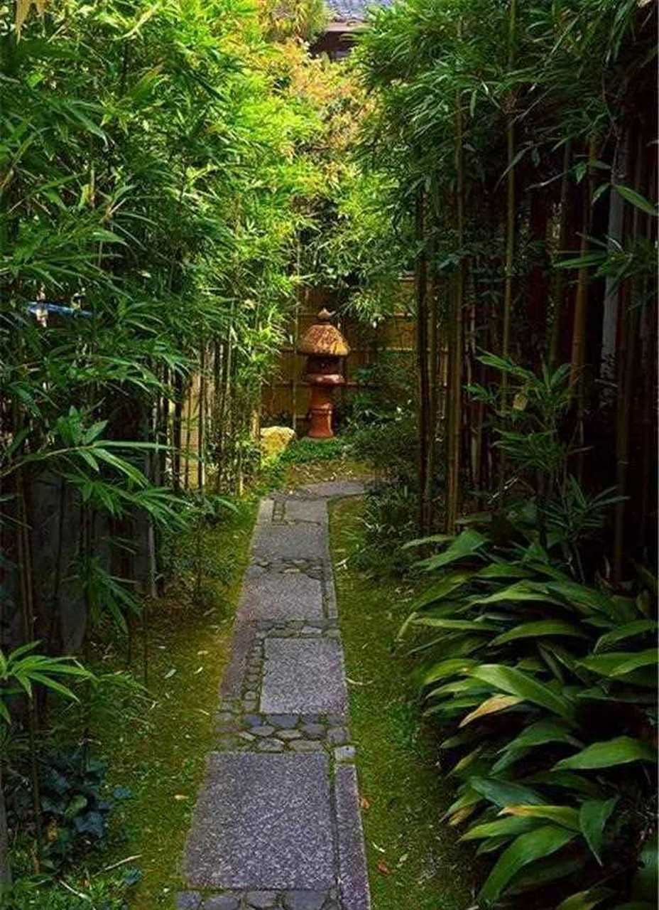 竹林听雨  曲径通幽  有竹人家小院欣赏