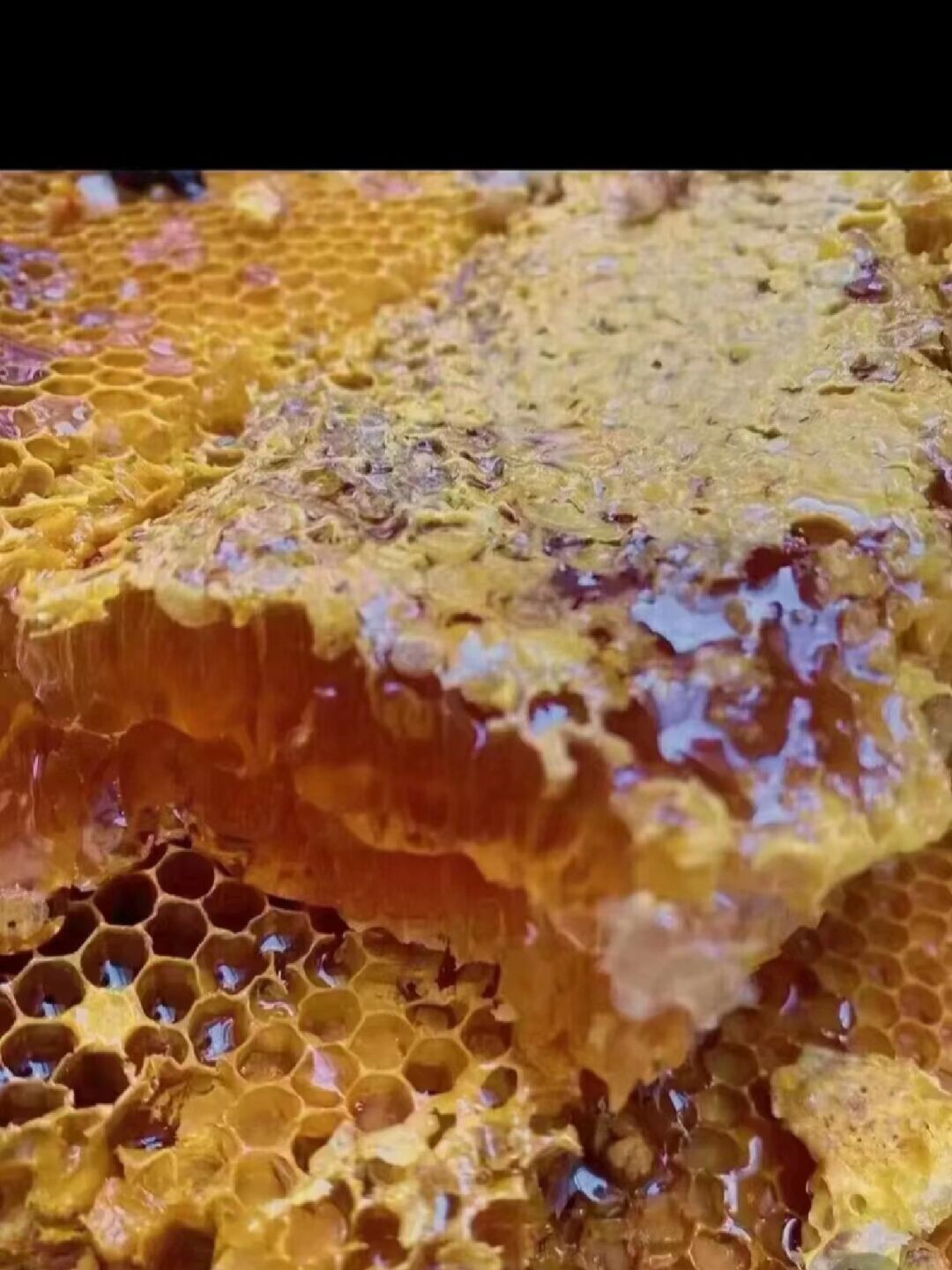 蜂蜜算糖吗(蜂蜜到底是不是糖)