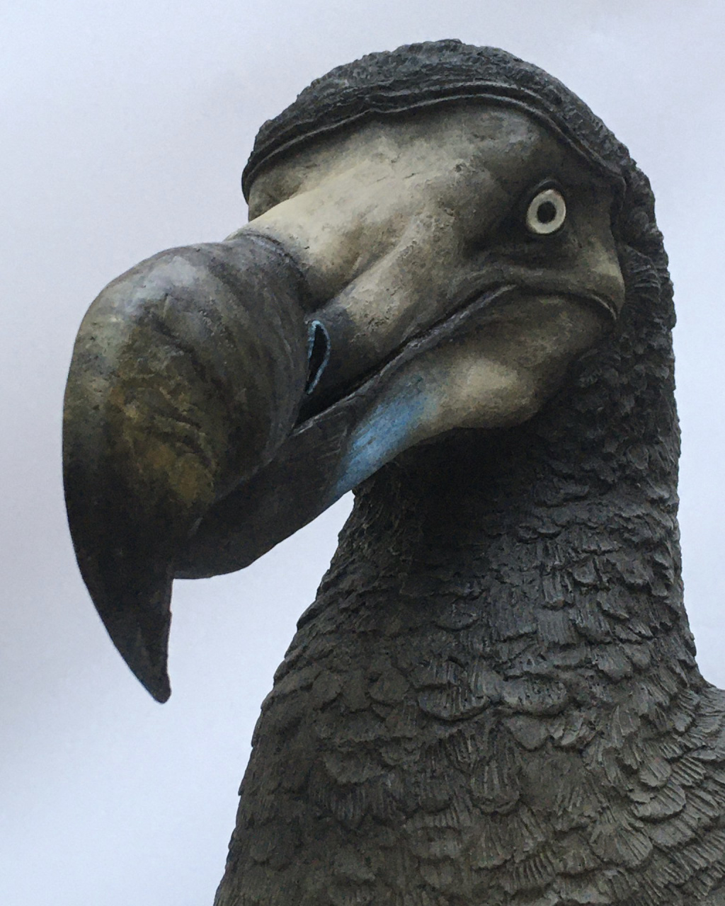 科学家正在"复活"灭绝300多年的渡渡鸟 渡渡鸟08是种长得呆呆的