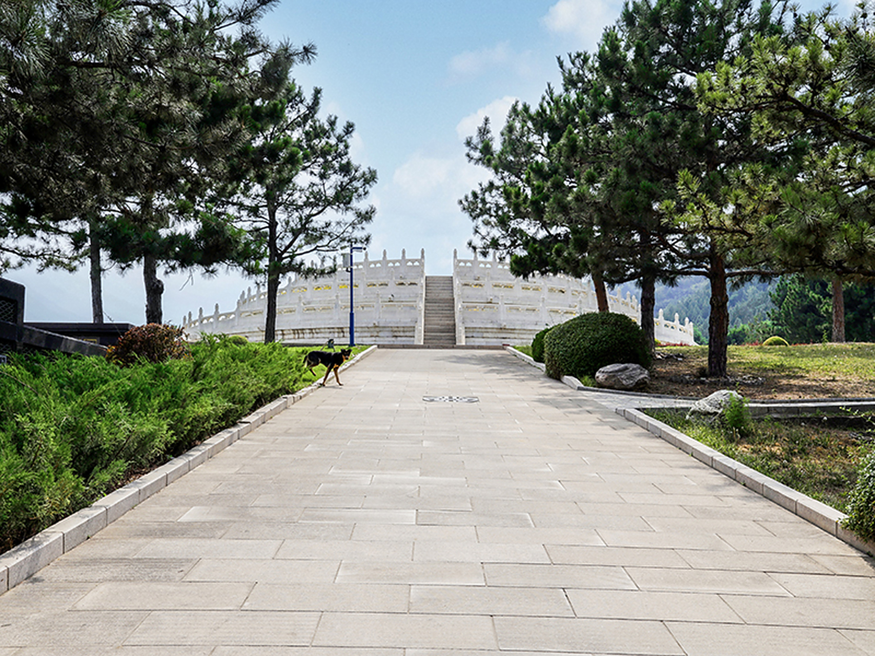 天寿陵园生态葬价格  北京昌平天寿陵园,也被称为天寿园,于1997年得到