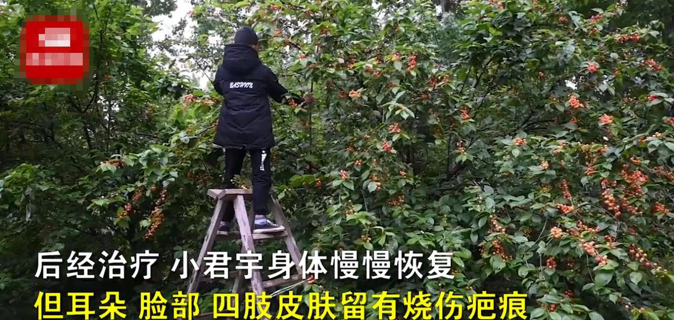 近日河南南阳,一男孩戴着面具在街边卖樱桃,路人见状都让他摘下面具