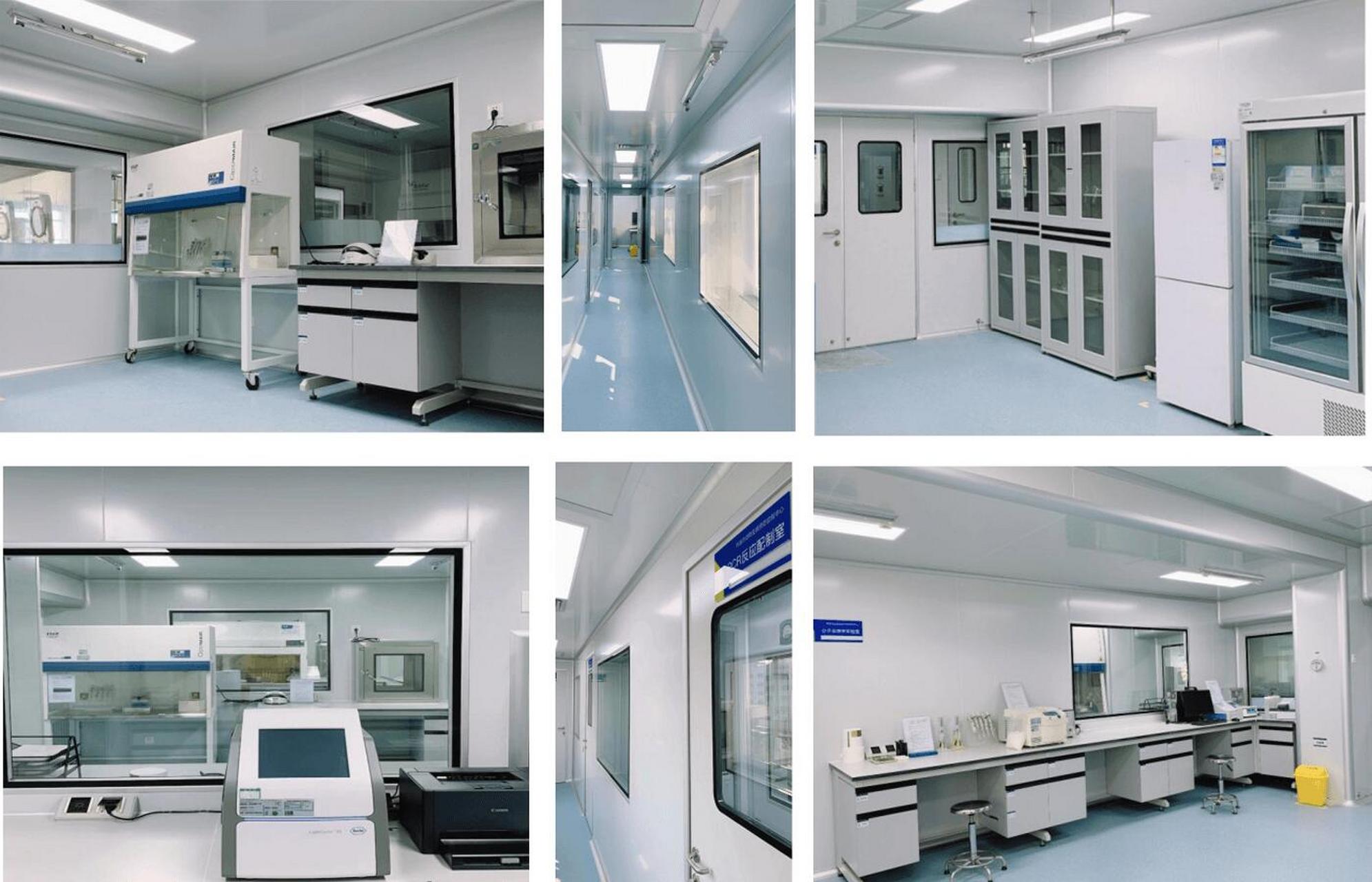 市级动物疫病预防控制中92|兽医pcr实验室装修工程  领域:动物疫病