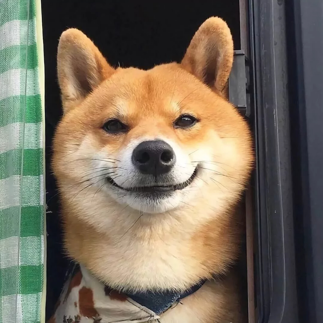 "有人相爱,有人夜里看爱,有人早上七八个闹钟起不来