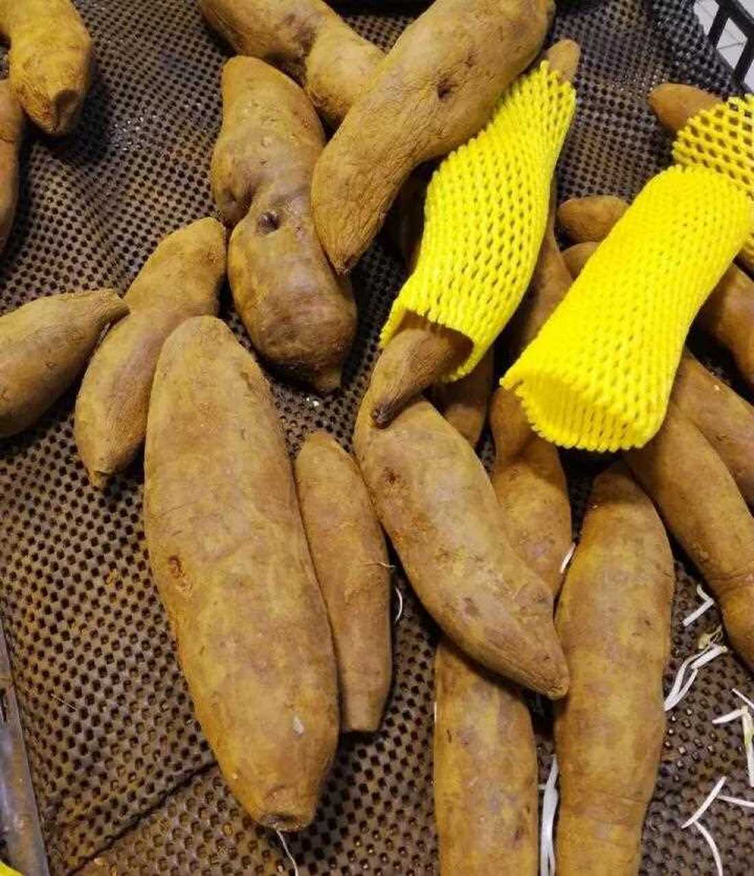 这东西究竟是"雪莲果"还是"红薯"呢?