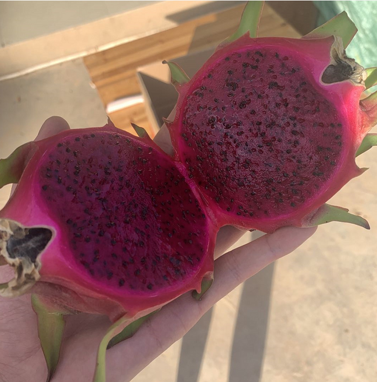 今天路过一家水果店,听见喇叭里面喊着卖火龙蛋,这个没吃过必须进去