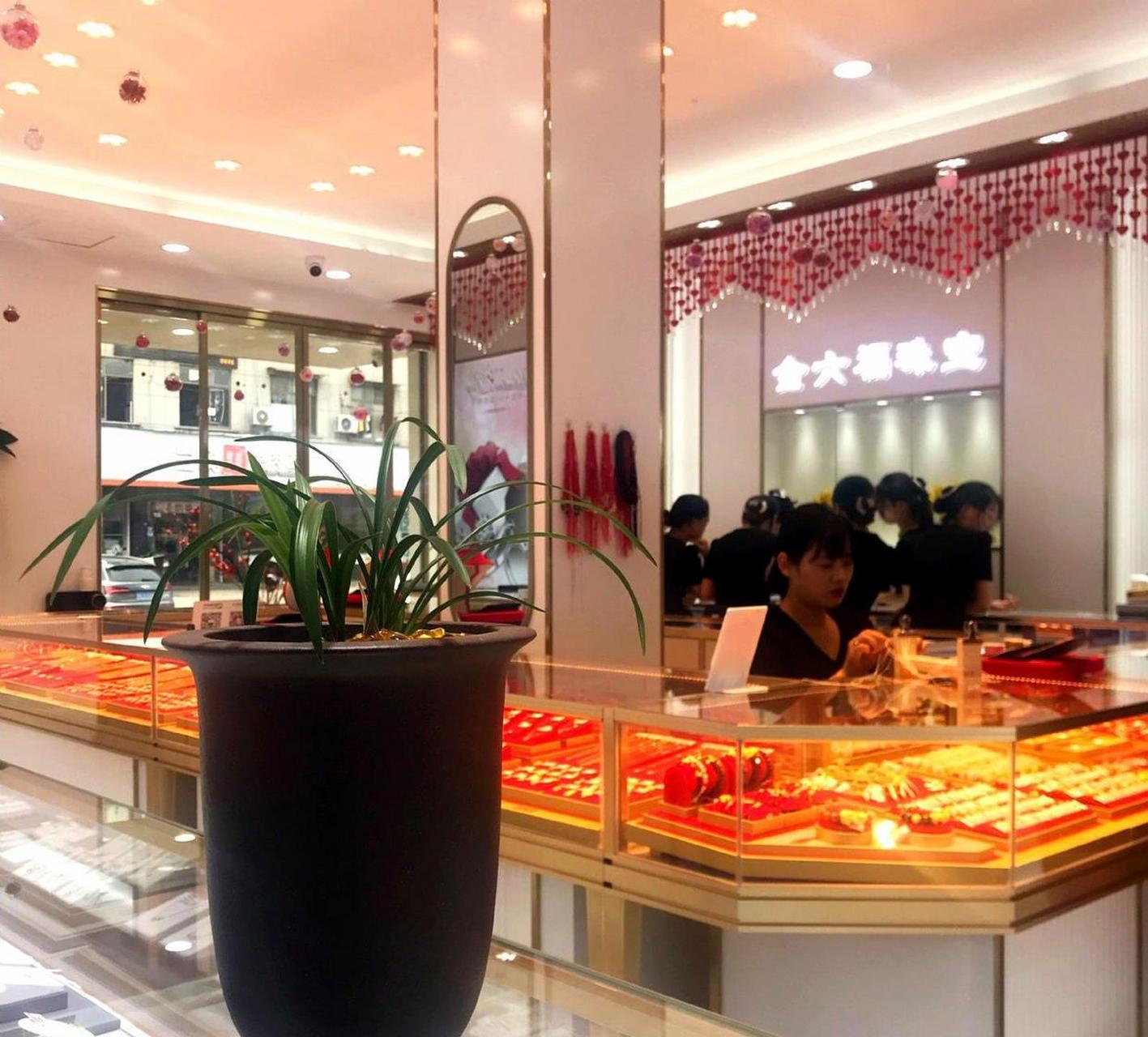 珠宝店里的春兰大富贵,这样在珠宝店里面摆上几盆兰花,还是特别抢眼的