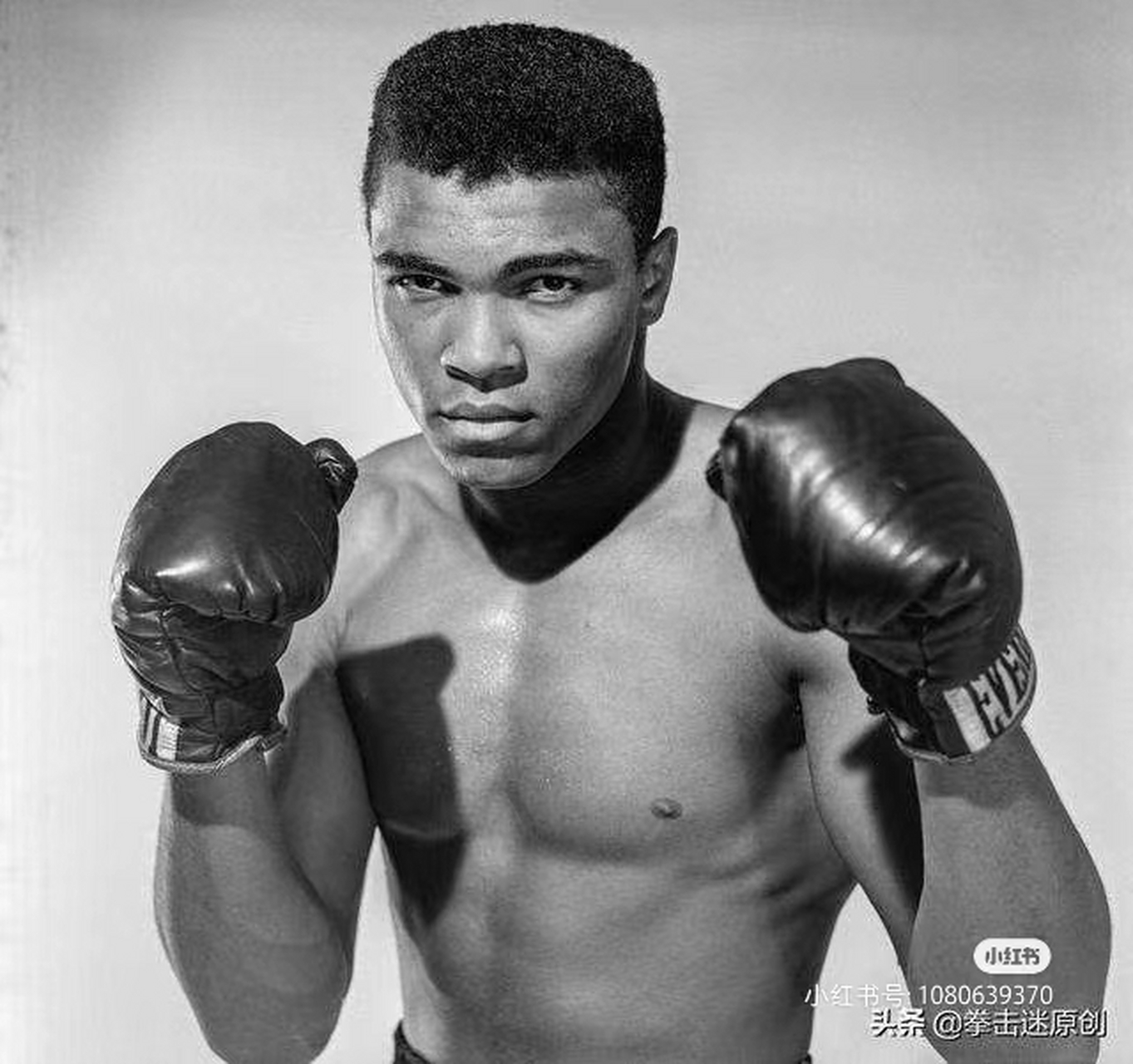拳王阿里"虽然没看过他一场比赛,但在全世界,只要提到阿里这两个字就