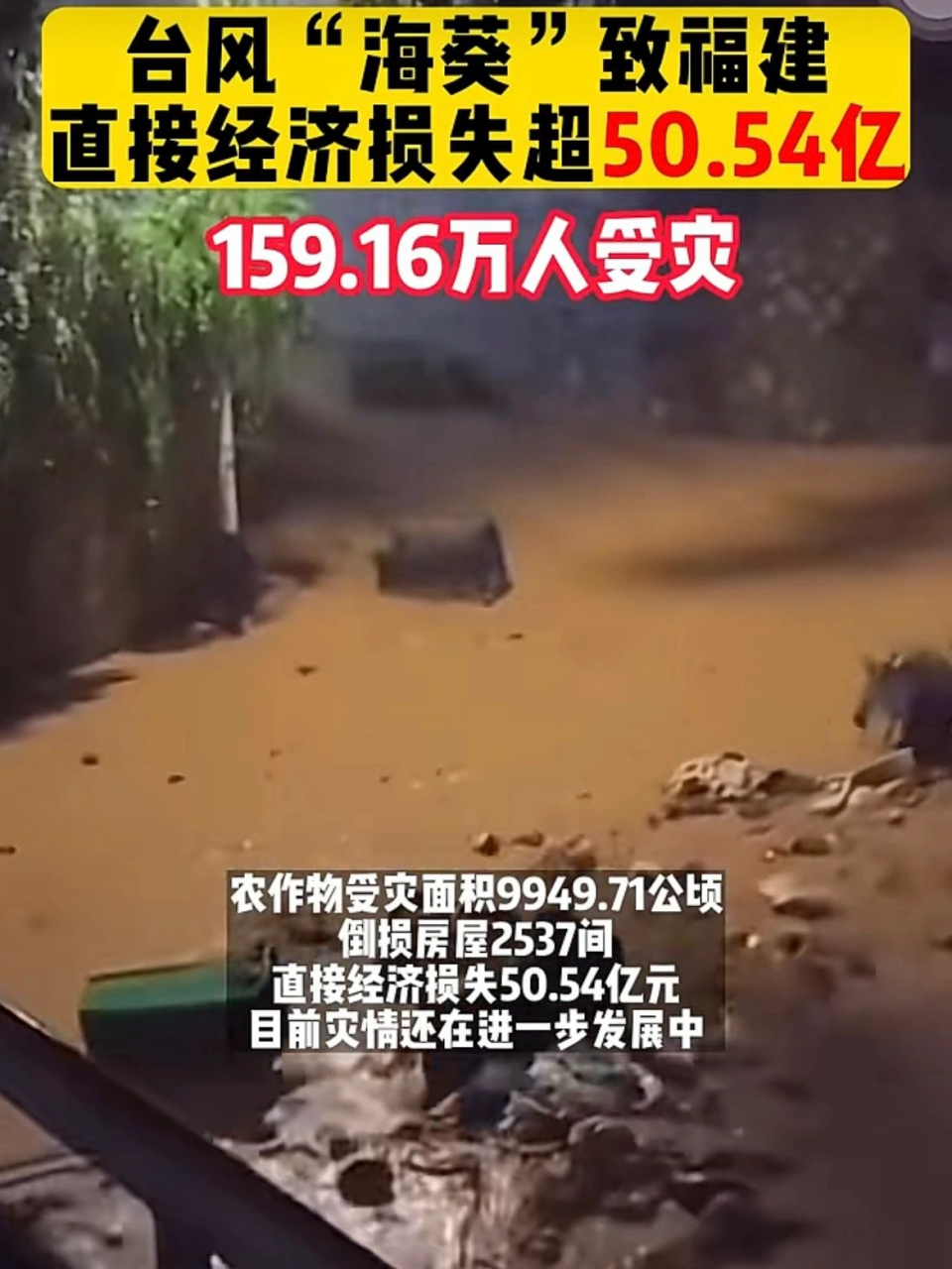 台风"海葵"致福建直接经济损失超50