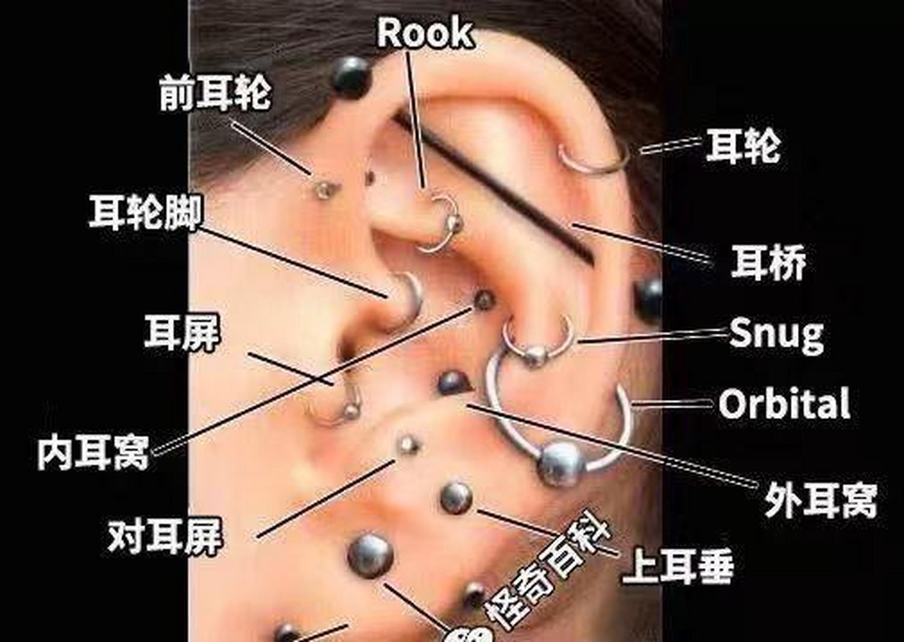 不同耳洞的位置叫什么?