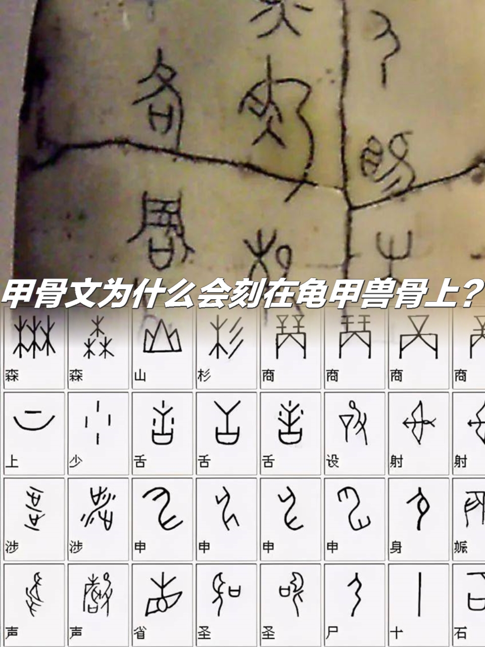 oracle为什么叫甲骨文