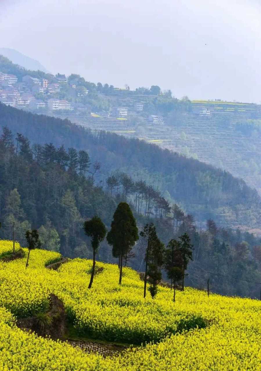 茗岙位於永嘉縣小楠溪流域,距離甌北約70公里,是個藏在深山裡的鄉村.