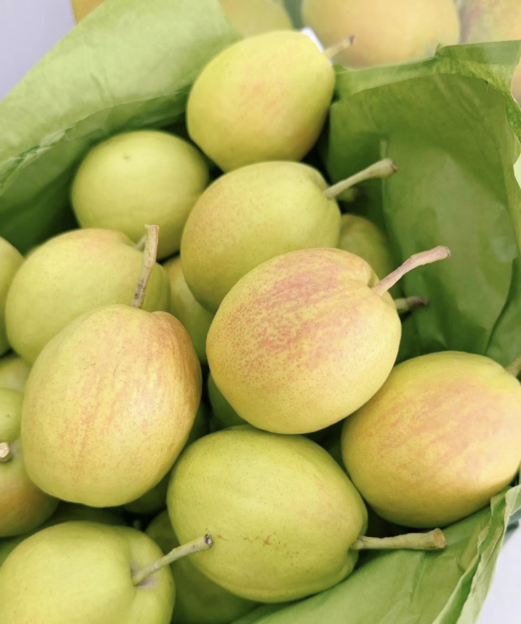 关注糖尿病# 95新疆库尔勒雪梨等你来尝95 大家好!