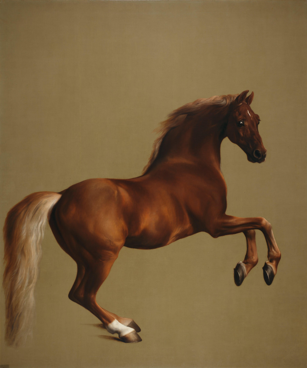 画作名称:	whistlejacket 中文名称:	枣红马 画 家:	george stubbs