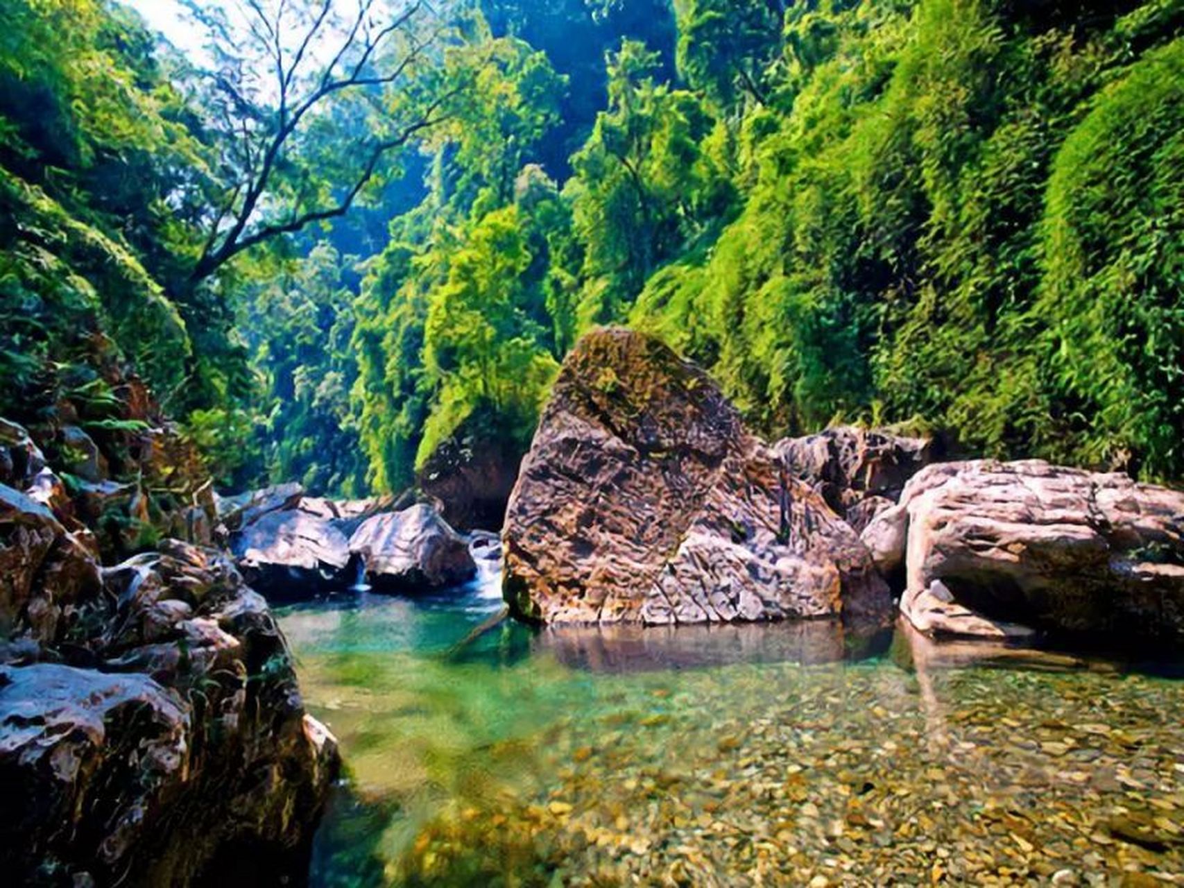 步入冷水河森林公园,穿行于植被茂密,翠绿幽深