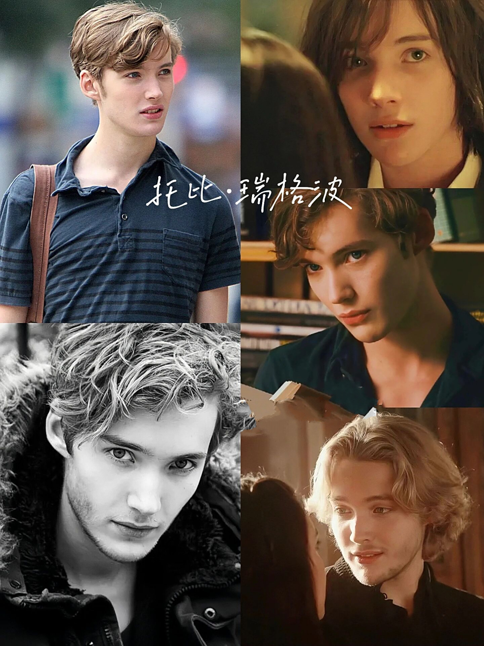 全球美男大盘点