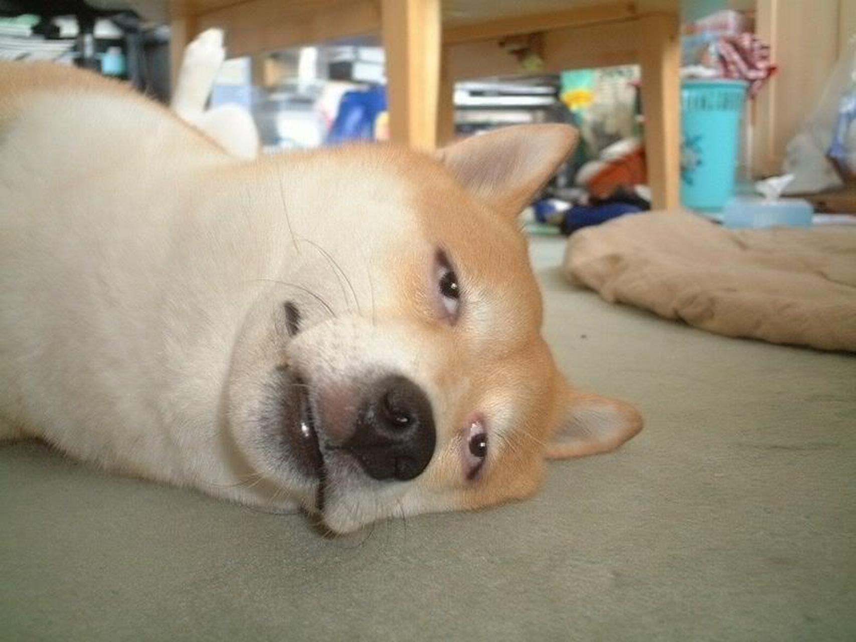 高考在即,紧张难免;适量放松,方为上策;心态良好,至