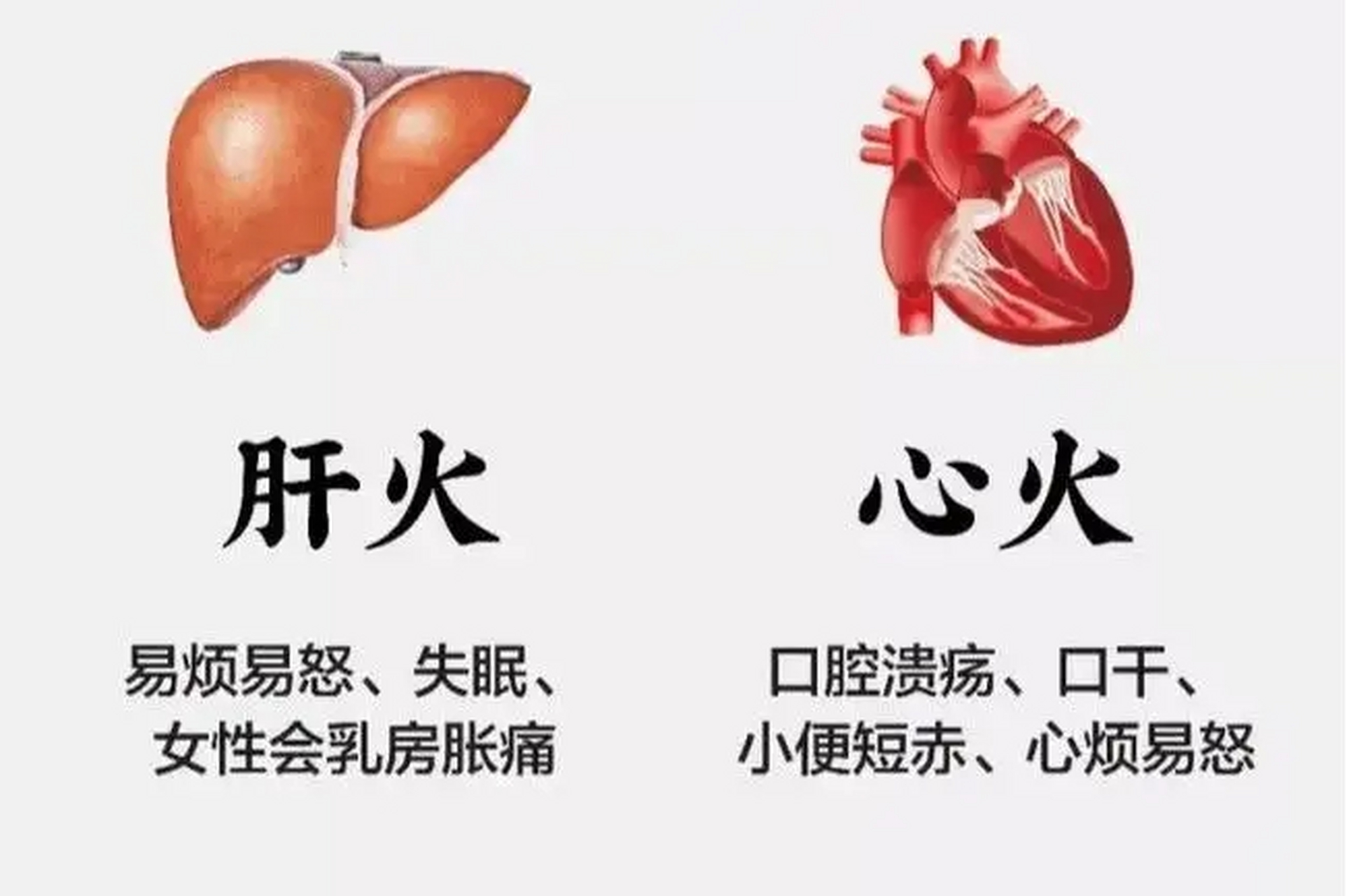 心火旺,肝火旺,睡不着,怎么办?