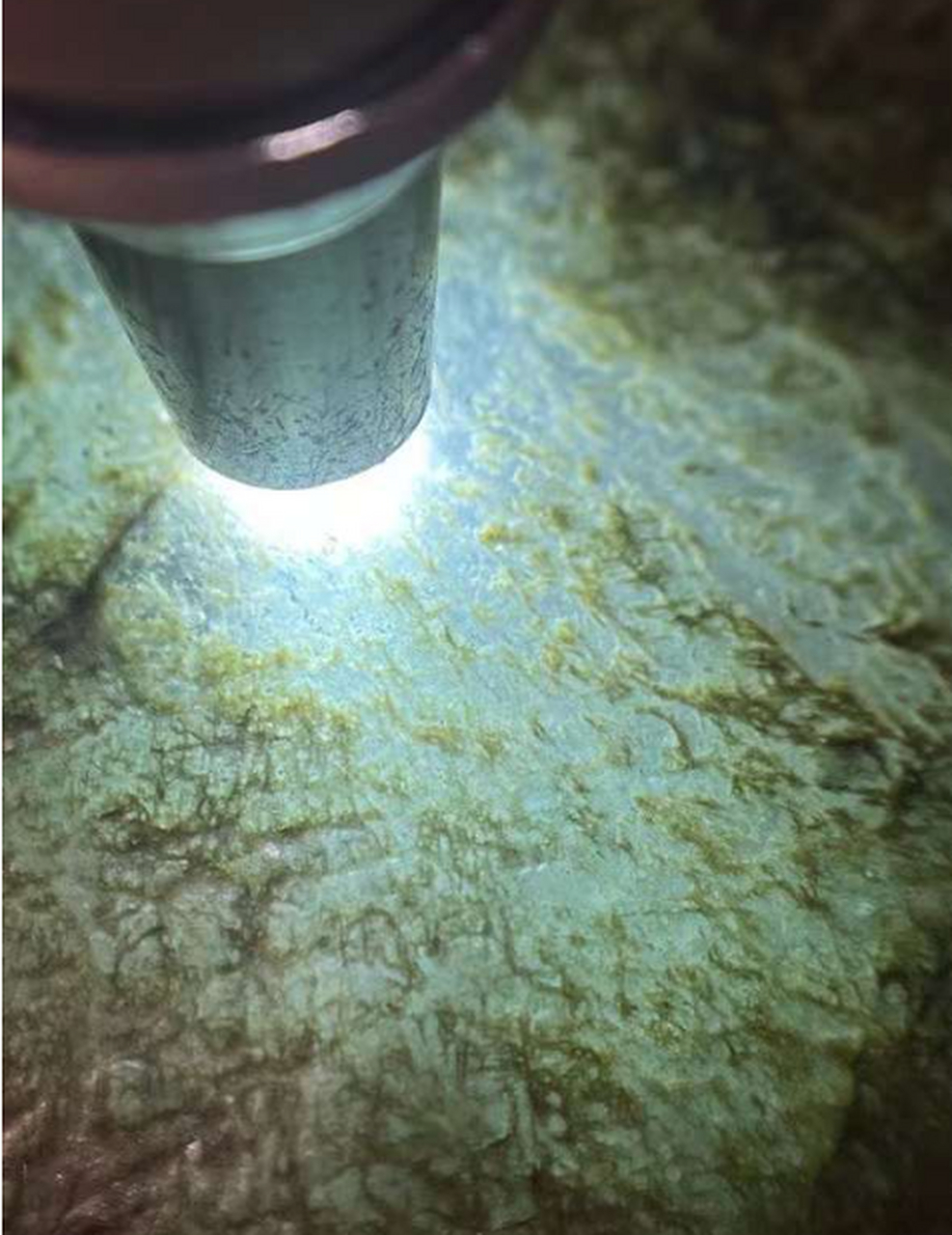 4公斤南齐场口色料,正宗南齐,棱角分明,种老肉细,颜色清甜,做牌子做戒