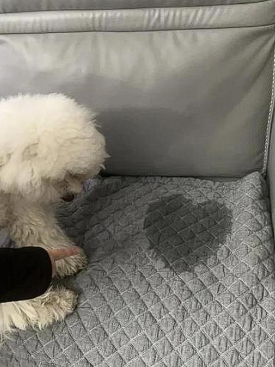 尿个尿都是爱你的形状