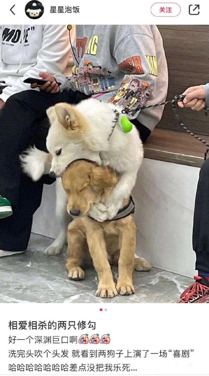 哈哈哈哈哈哈哈哈哈过分热情了