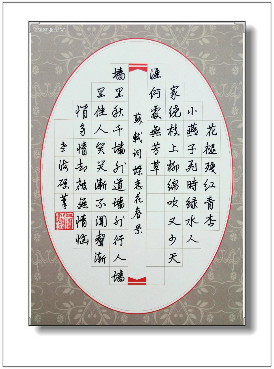 吴海锋硬笔书法作品——苏轼词《蝶念花春景》#我的书法分享# #书法