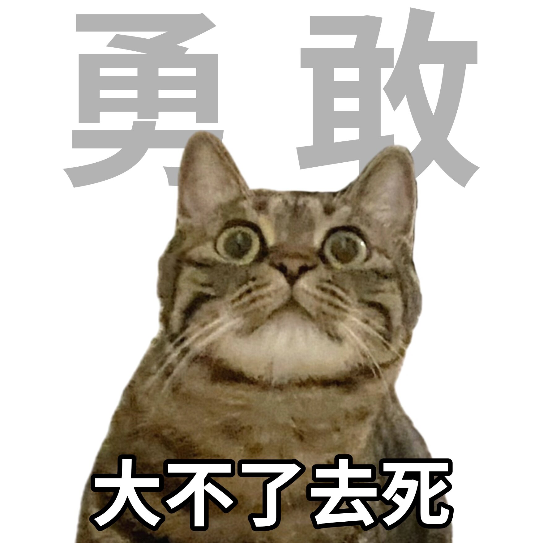 年轻人十大美好品德表情包 勇敢:大不了去死 乐观:那又怎么样,反正也