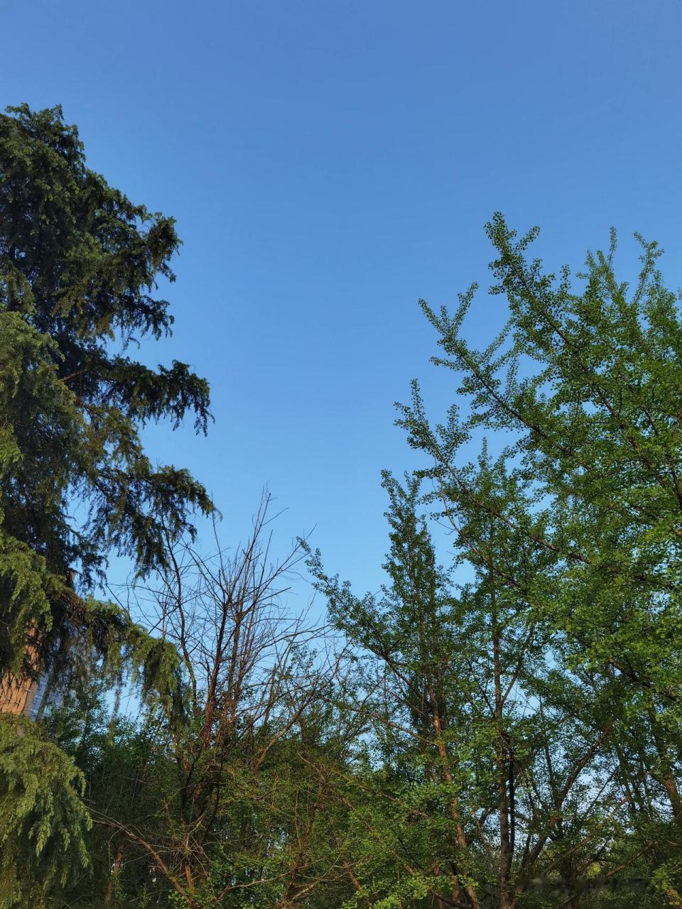 以 人生悲喜交加,生活喜忧参半,懂得在取舍之间,平衡自己的心态,才能