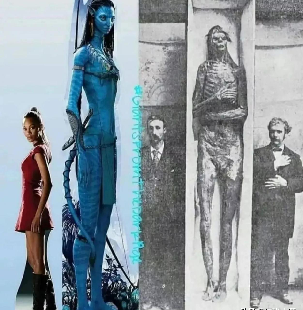 某外国博主博文:《阿凡达》蓝皮肤纳美族的原型已经找到了.