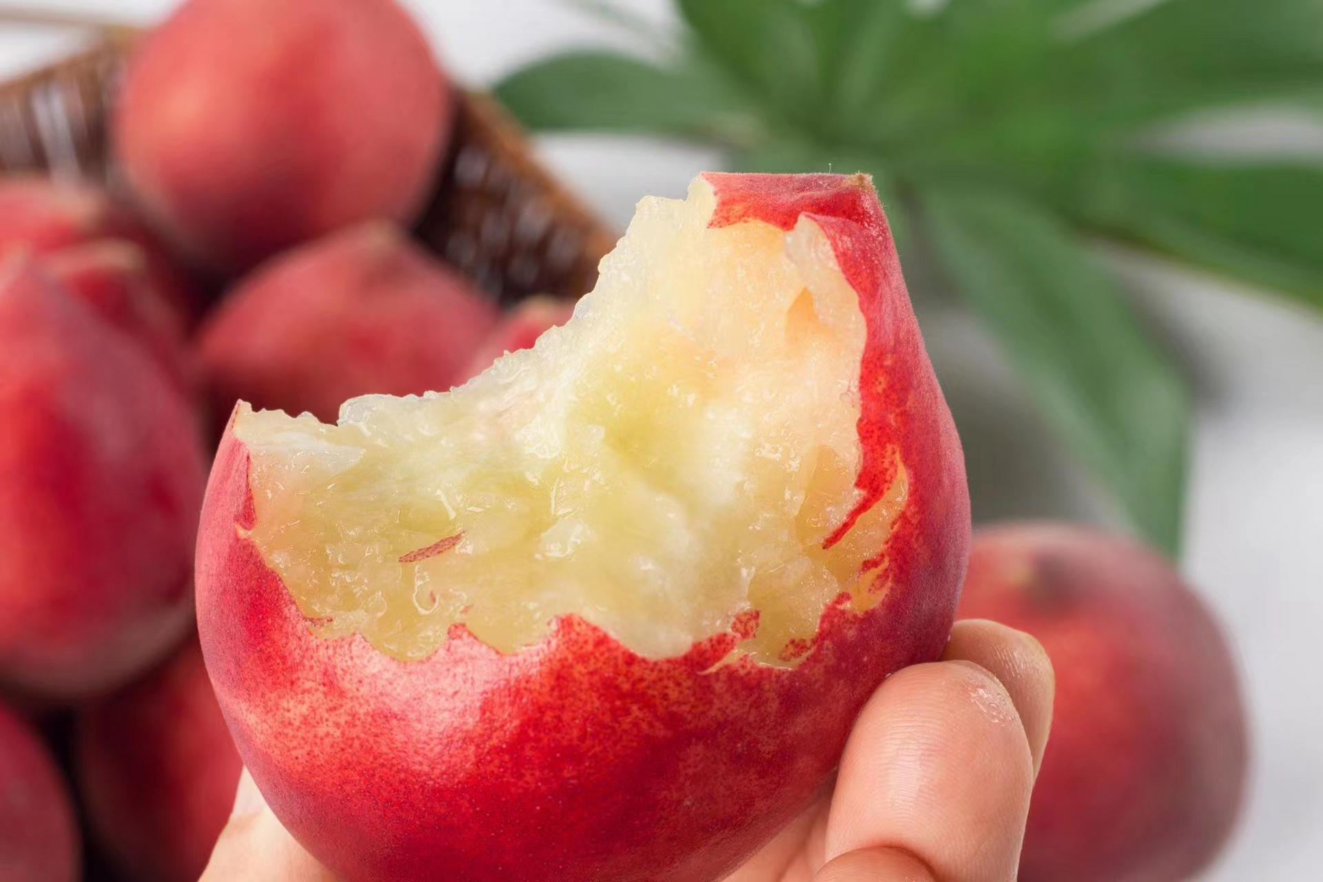 喜欢吃桃子的朋友,一定不要错过了云南的红宝石蜜桃!