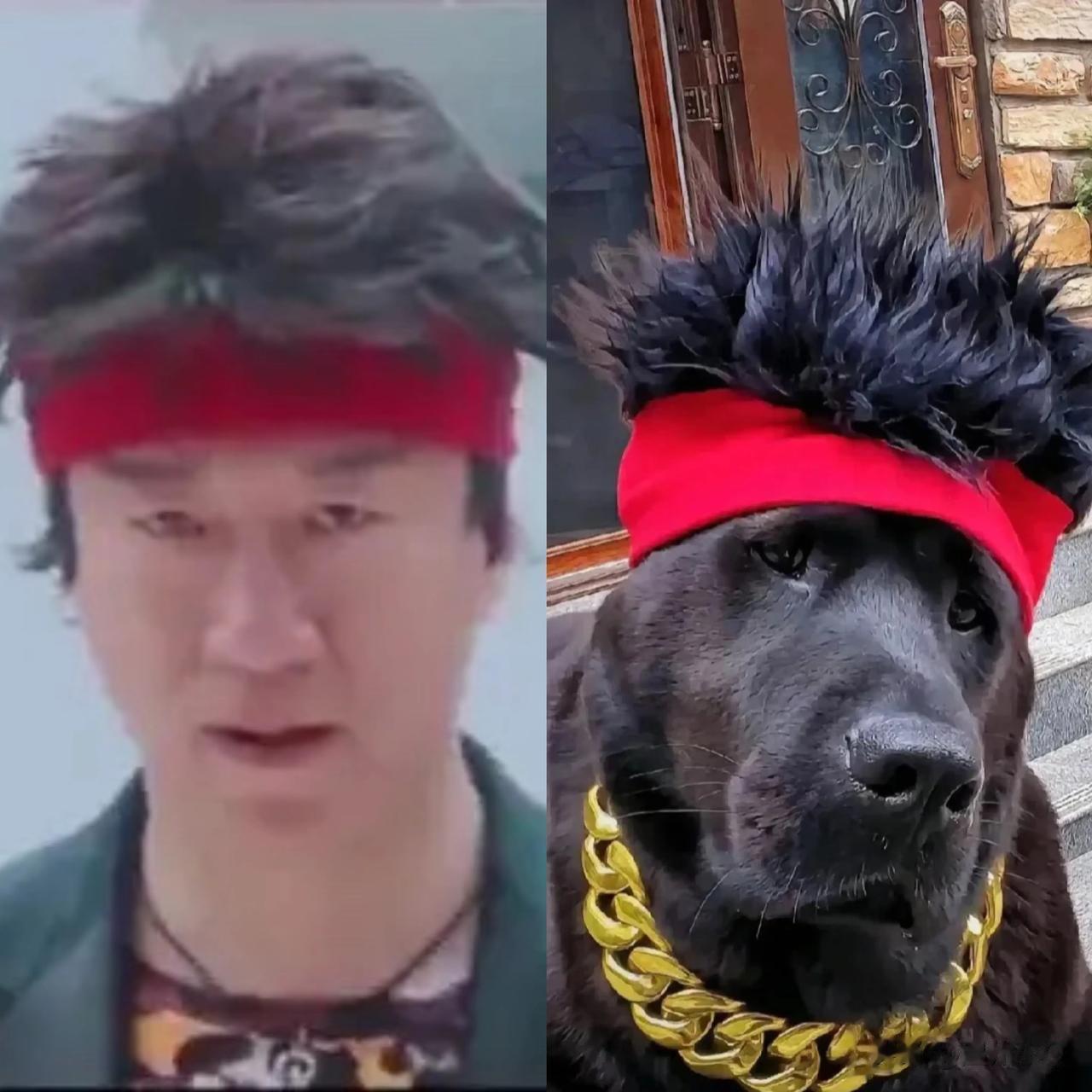 还是孙红雷的像啊[抠鼻]