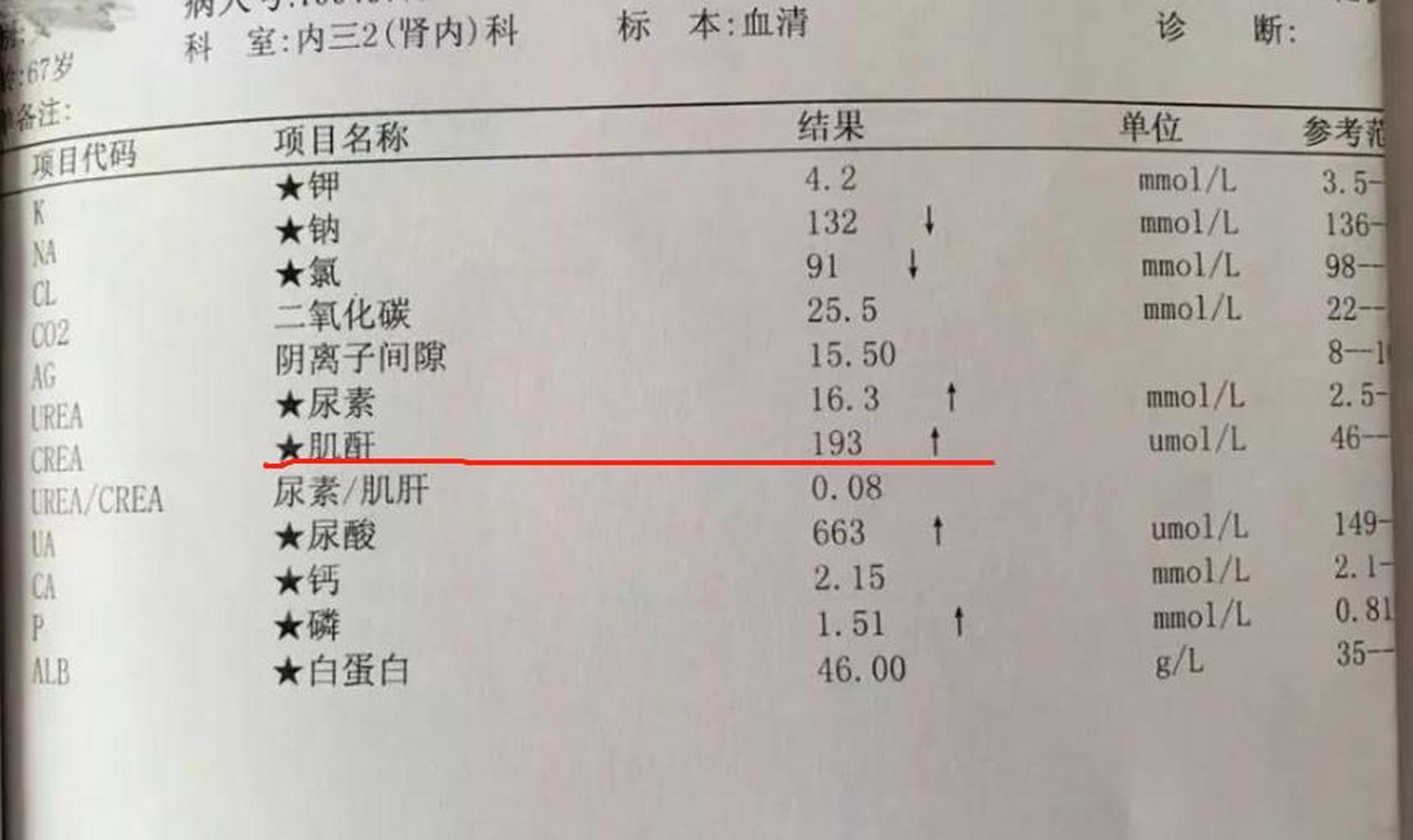 血肌酐检查图片