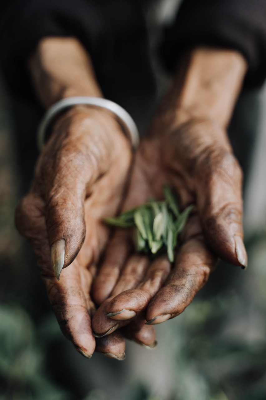 这是两双黝黑粗糙的手,凸起的青筋,深深的掌纹中,流露出朝耕暮耘后的