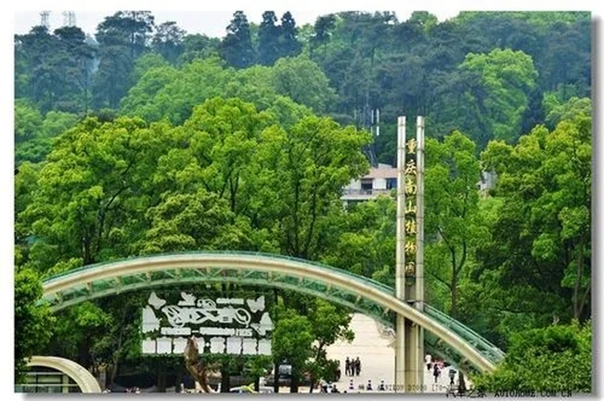 游重庆南山植物园-翔仔 山峰阡陌桥相连,亭台楼阁错落间.